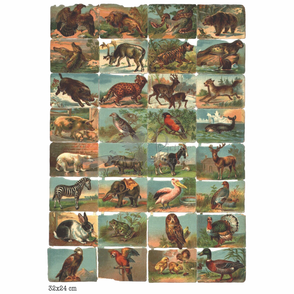 1069 animals.jpg