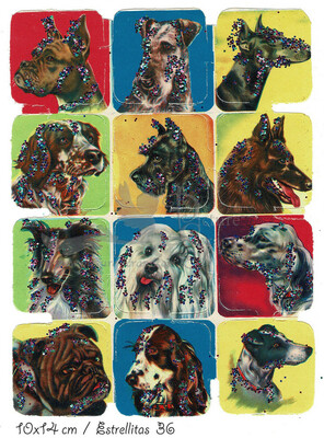 Estrellitas 36 dogs.jpg
