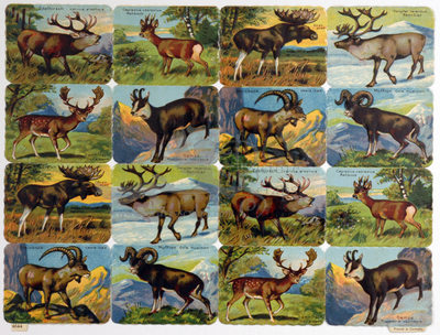 Printed in Germany 4644 animals with antlers square educational scraps.jpg