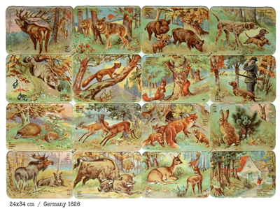 Printed in Germany 1626 forest animals square educational scraps.jpg