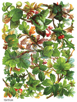 R.Tuck 1209 leafs.jpg