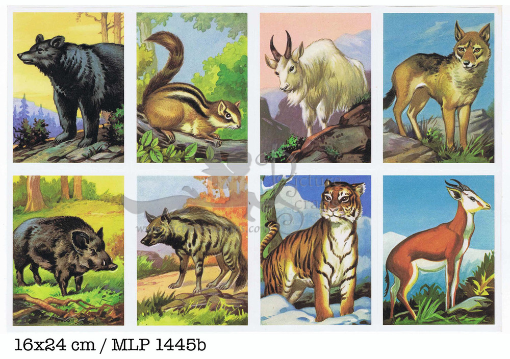 MLP 1445 b animals.jpg