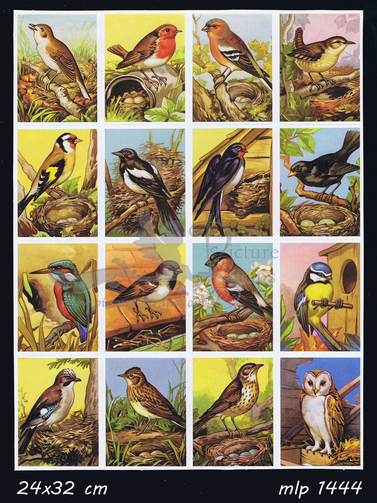 MLP 1444 fullsheet birds.jpg