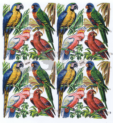 Printed in Germany 5036 parrots.jpg