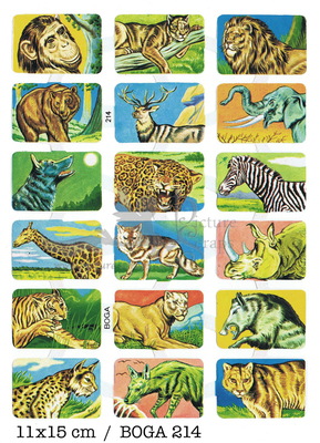 BOGA 214 wild animals.jpg