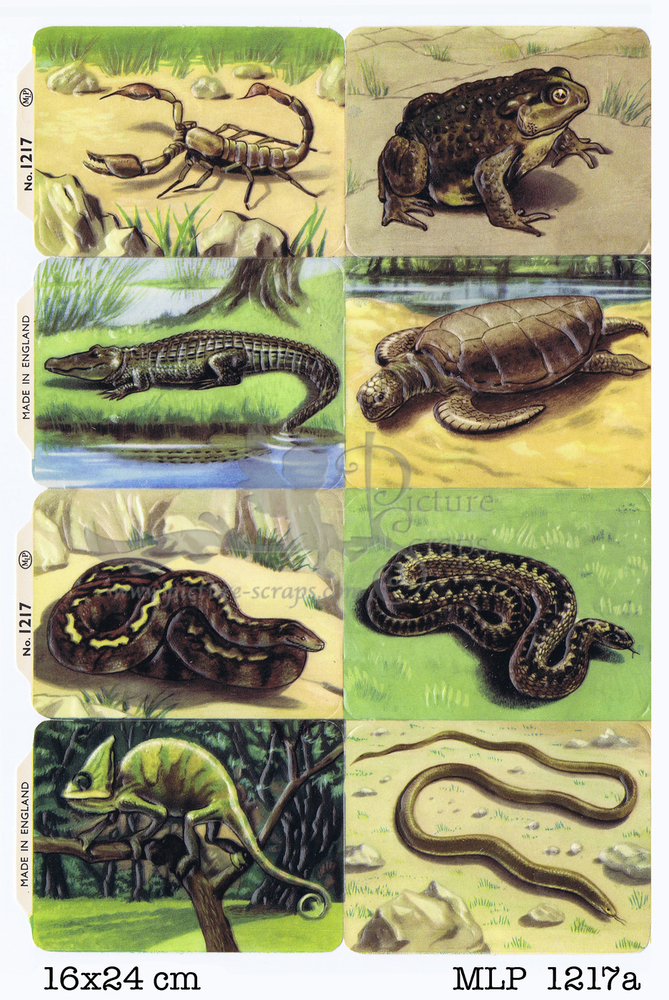 MLP 1217 a reptiles old sheet.jpg