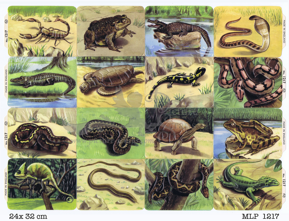 MLP 1217 fullsheet reptiles old sheet.jpg