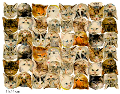 Heller 98 cats 14x11 cm.jpg