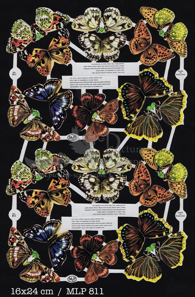 MLP 811 butterflies.jpg