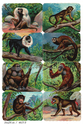 Printed in Germany 4615 b monkeys square educational scraps.jpg
