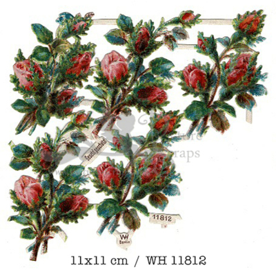 WH 11812 roses 11x11.jpg
