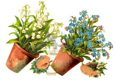 WH 5844 flowers in pots.jpg