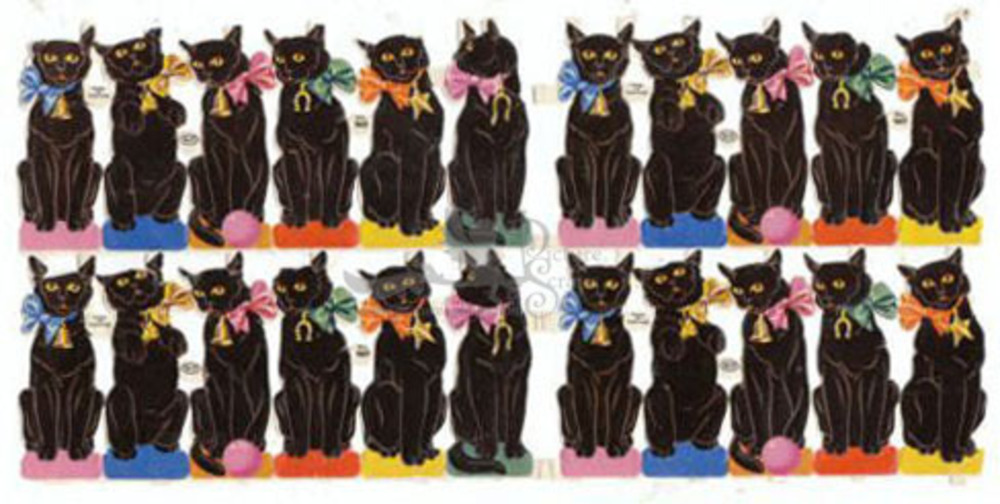 MP 969 black cats.jpg