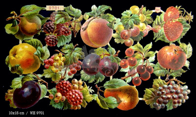 WH 9701 fruits.jpg