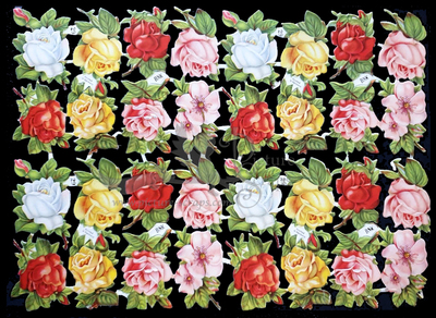 BNK 29 roses.jpg