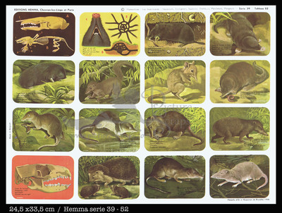 Hemma 52 mammals.jpg