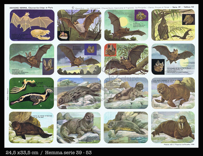 Hemma 53 animals mammals.jpg