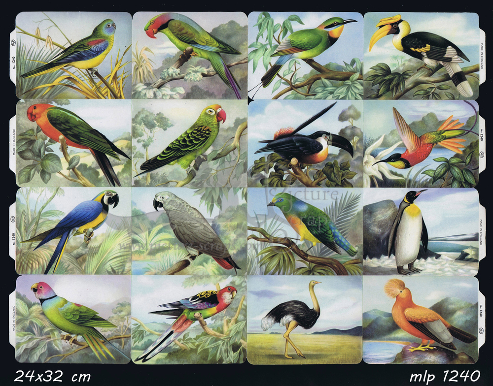 MLP 1240 full sheet birds.jpg