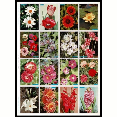 A.Arnaud 17 flowers 2.jpg
