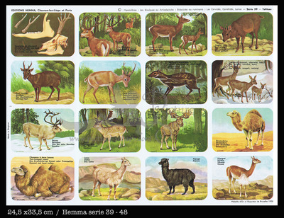 Hemma 48 mammals.jpg
