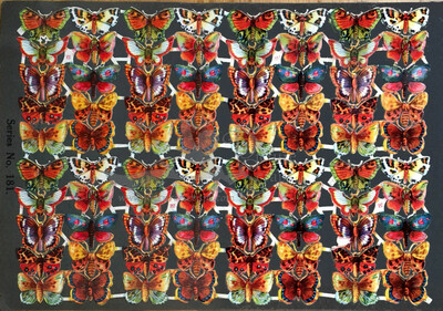 Birn Bros 181 butterflies.jpg