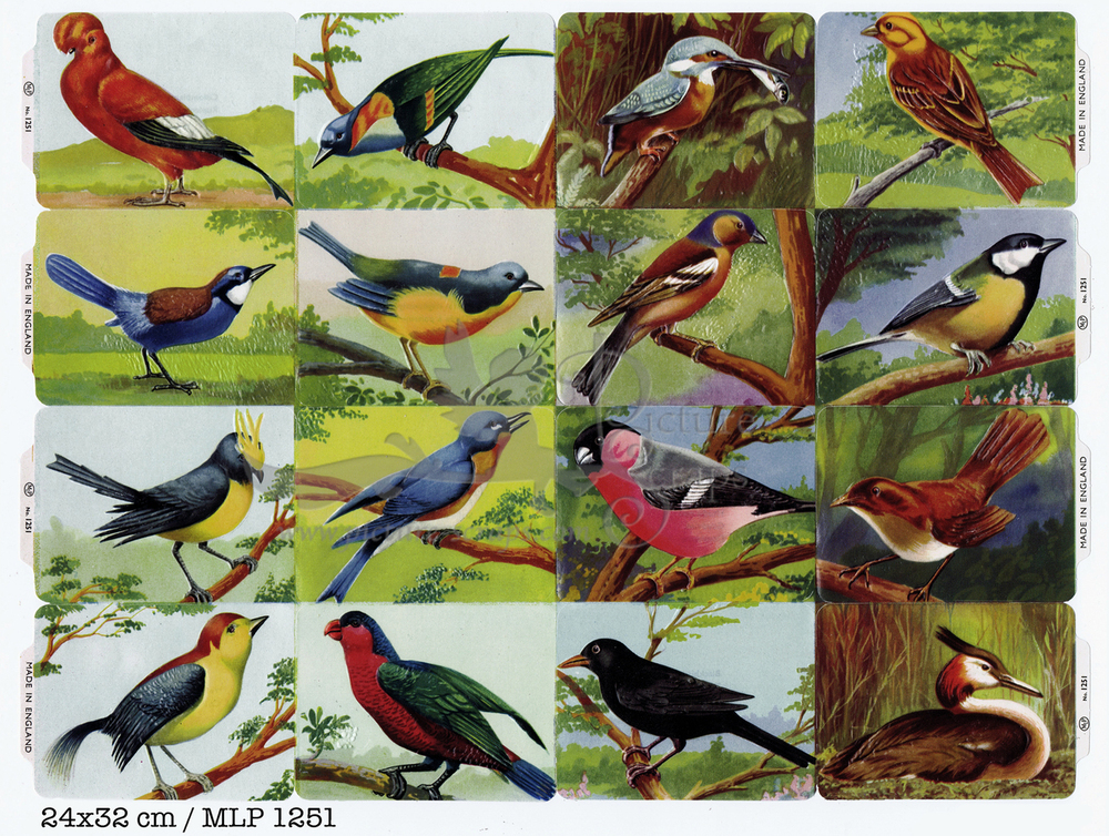MLP 1251 full sheet birds (894-895).jpg