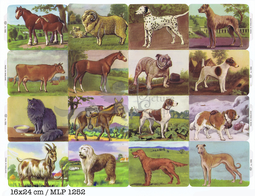 MLP 1252 full sheet farm animals.jpg