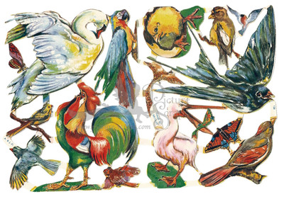 A.J.Donaldson 138 birds.jpg