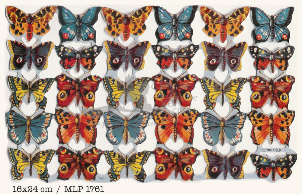 MLP 1761 butterflies.jpg