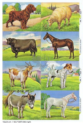 MLP 983 right farm animals.jpg