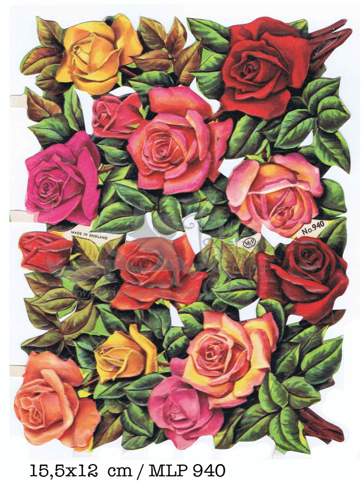 MLP 940 roses.jpg