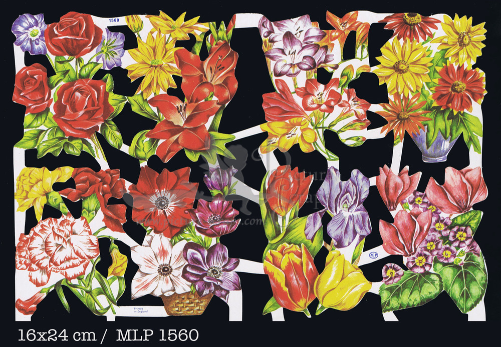 MLP 1560 flowers.jpg