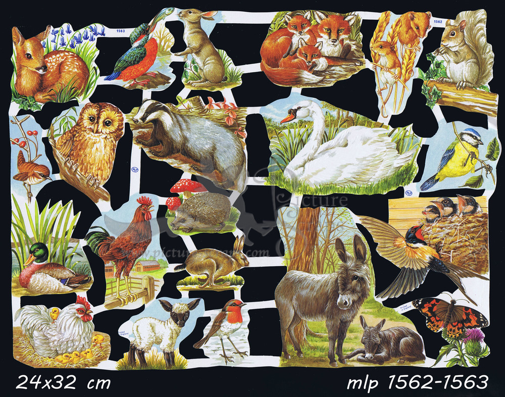 MLP 1562-1563 full sheet animals.jpg