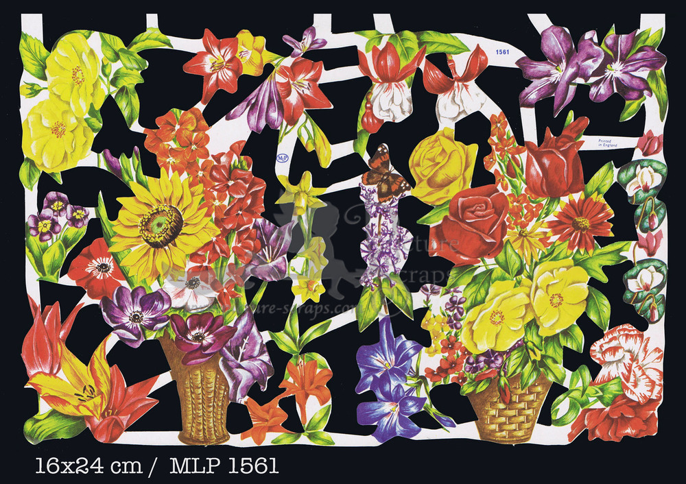 MLP 1561 flowers.jpg