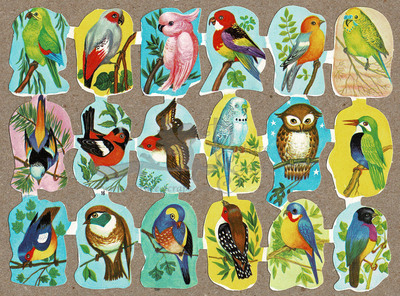 Edivas 16 birds.jpg